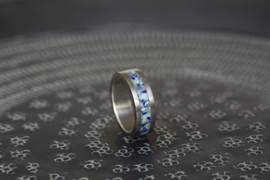 Titanium ring met Lapis lazuli, Turkoois en Meteoriet
