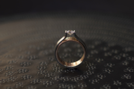 Titanium solitair ring / Round 0.53ct E VVS2