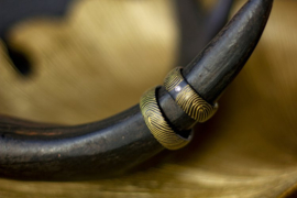 Zwarte ringen met goudkleurige vingerafdruk