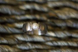 Titanium profiel ring met parel