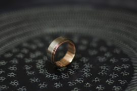 Titanium ring met gouden band