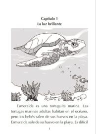 Beginners - Esmeralda, la tortaguita marina – by Kristy Placido