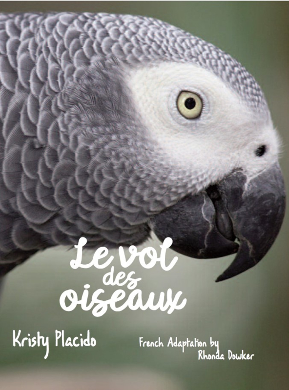 A1 | Vol des oiseaux - Kristy Placido