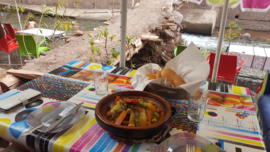 Startpakket VEGA | Vegetarisch kookboek & kruiden voor de tajine