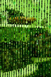 Glaskralengordijn | groen