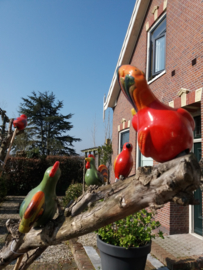 Vogels op stok