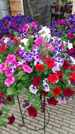 Hanging baskets workshops