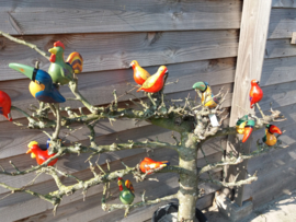 Vogels op stok