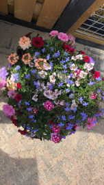 Hanging baskets workshops