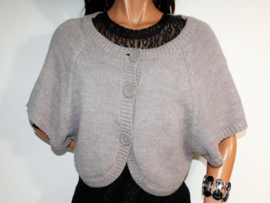 Taupe vest  NEW NL size 38 / 40