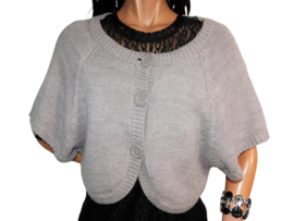 Taupe vest  NEW NL size 38 / 40