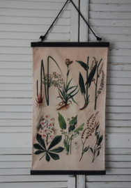 Leuk vintage wandkleed, met botanische afbeeldingen