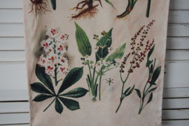 Leuk vintage wandkleed, met botanische afbeeldingen