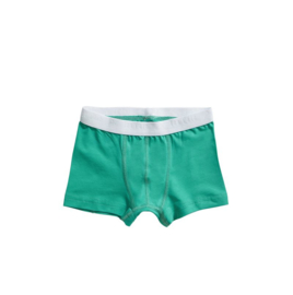 Ten Cate jongens basic short stripe/mint (2-pack) 98/104 t/m 134/140