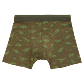 Ten Cate jongens short dino (2-pack) 122/128-134/140-158/164