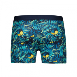 Beat my Boxer (BMB005 Toucan Jungle) S en XL