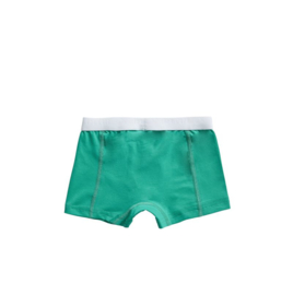 Ten Cate jongens basic short stripe/mint (2-pack) 98/104 t/m 134/140