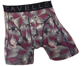 Cavello heren boxershort CB24001 (2-pack) S t/m XXL