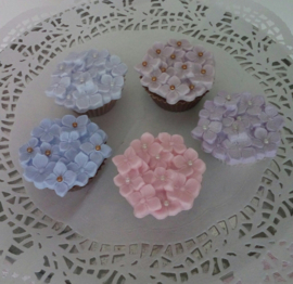 cup-cake hortensia