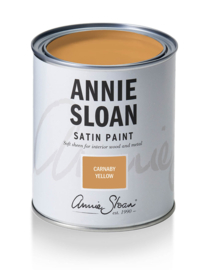 Satin Paint Carnaby Yellow