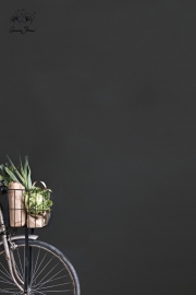 Annie Sloan Wall Paint Graphite