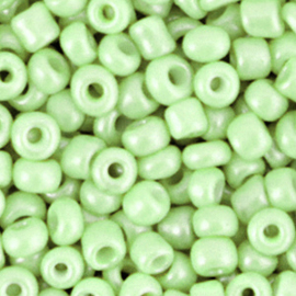 Rocailles 4mm 6/0 soft mint green 60227