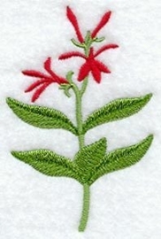 Gastendoekje, Handdoek of Baddoek met wilde Lobelia (Cardinal Flower)