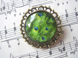 BR11 - Victoriaanse broche met pauwenveer-cabochon