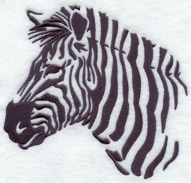 OS12 - Zebra