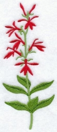 Gastendoekje, Handdoek of Baddoek met wilde Lobelia (Cardinal Flower)