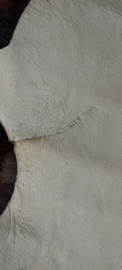 Schapenvacht van Nederlands schaap