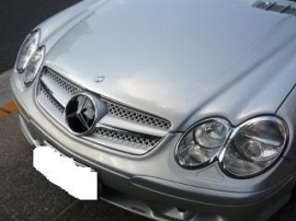 Mercedes R230 SL  AMG Look Grill Sportgrill  bj 2001-2011 Zilver/chroom