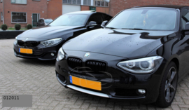 BMW 1 Serie  Nieren Grill Bubbelspaak Nieren  Performance F20 F21 Glanszwart Bouwjaar Tm 1//2015