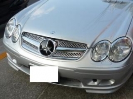 Mercedes R230 SL AMG Look Grill Sportgrill Bj 2001-2011 Chroom