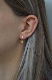 Cardillac little curly earrings