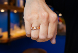 Vincent van Hees gouden ring Don klein