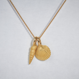 Katinka Neuner  gouden schelp hanger (kokkel)