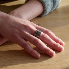 Apero stalen ring Versailles