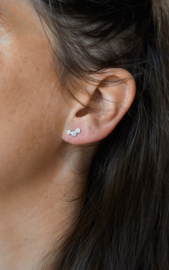 Platte rondjes van witgoud