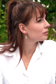 Vincent van Hees Pensili pluma