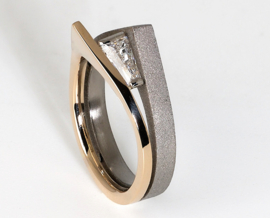 Titanium ring Goldline