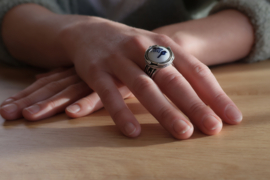 Hollands glorie zilveren ring met vogels