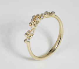 Gipskruid gouden ring