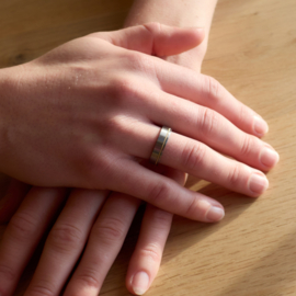 Titanium ring with gold Feniom