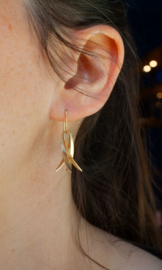 Vincent van Hees Pensili pluma