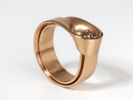 Vincent van Hees DON3 rood gouden ring