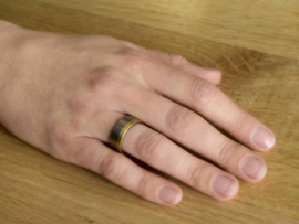 Feniom ring titanium and gold