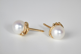 Medusa pearl earstuds