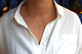 Katinka Neuner zeepaardje