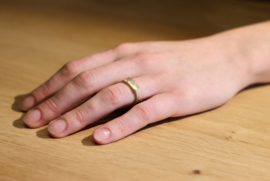 Facet ring van goldline